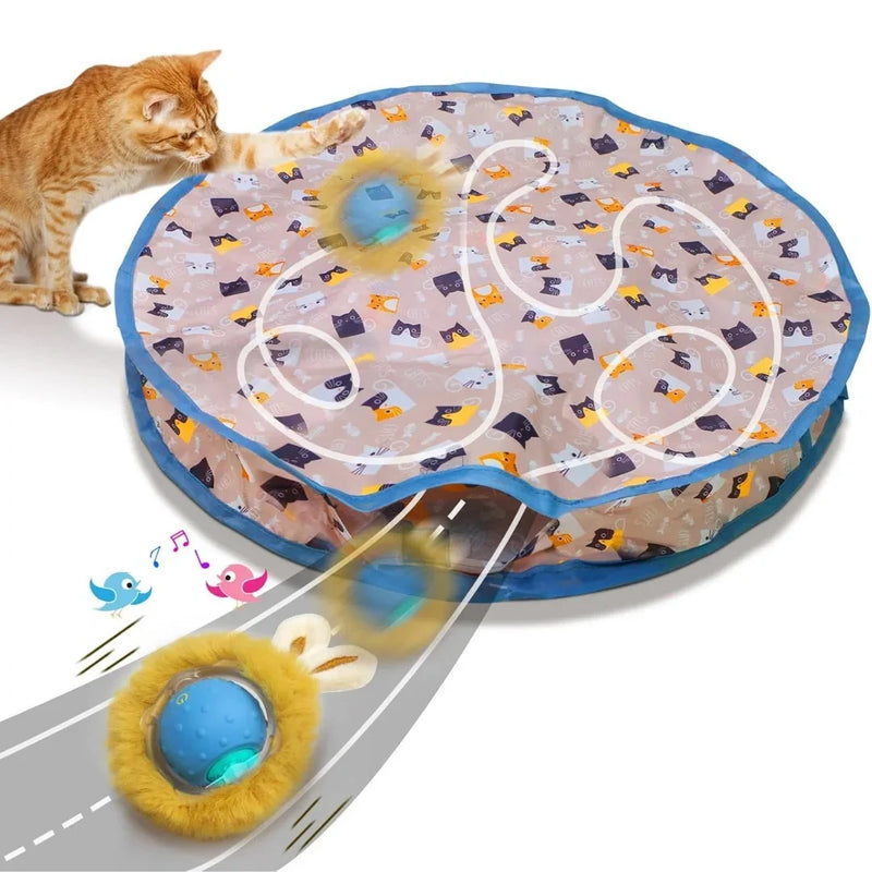 Orange cat playing with a round interactive hunting mat and moving ball