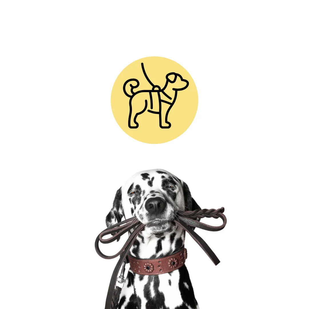 Koppel & Selar - kollektion till hund och katt