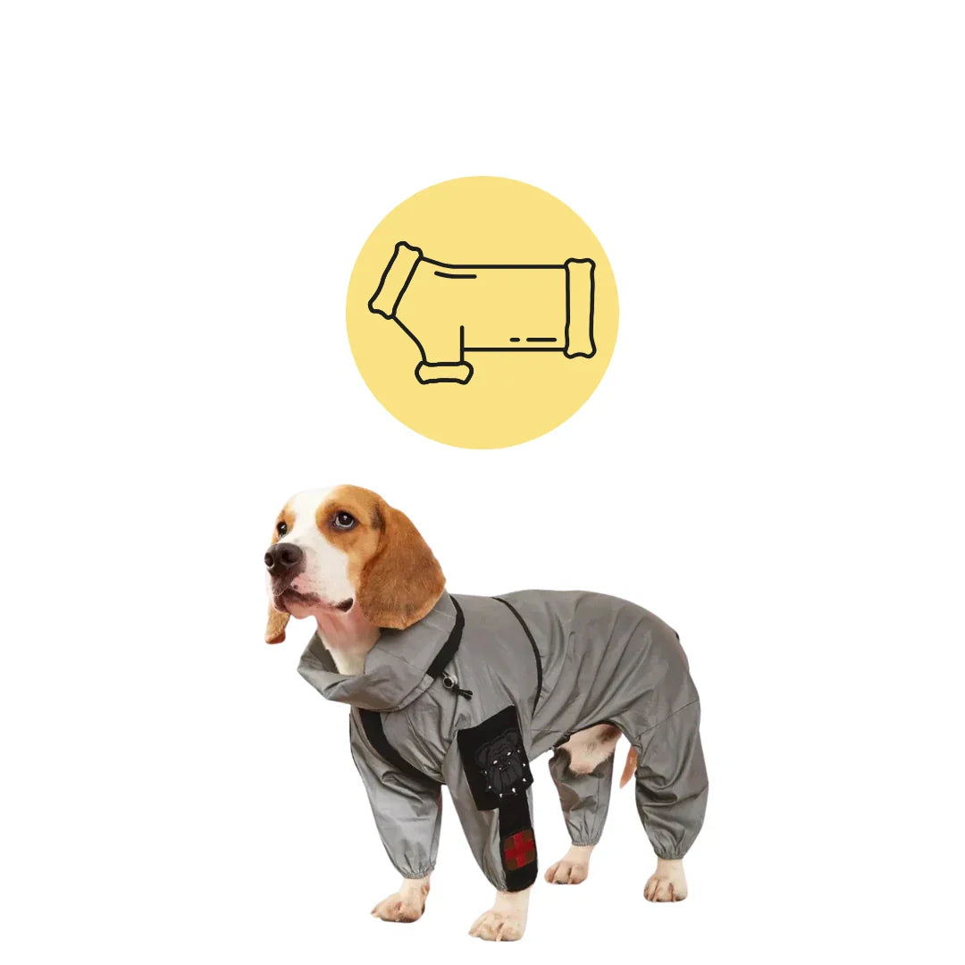 Hundtäcken & hundkläder kollektion - Bäst i test regntäcken och värmetäcken för hundar och katter - bäst i test