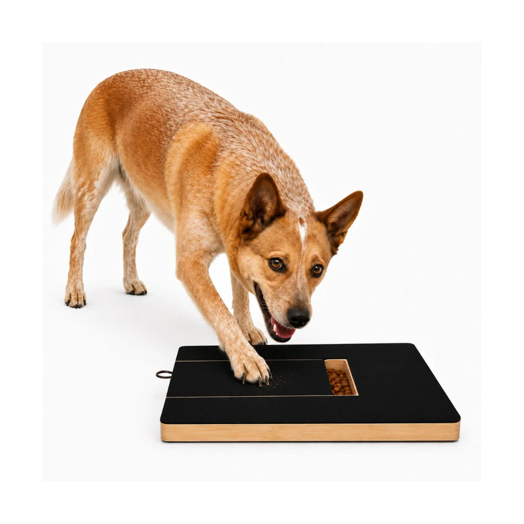 Self-Sharpening Claw Board for Pets - Petifo