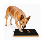 Self-Sharpening Claw Board for Pets - Petifo
