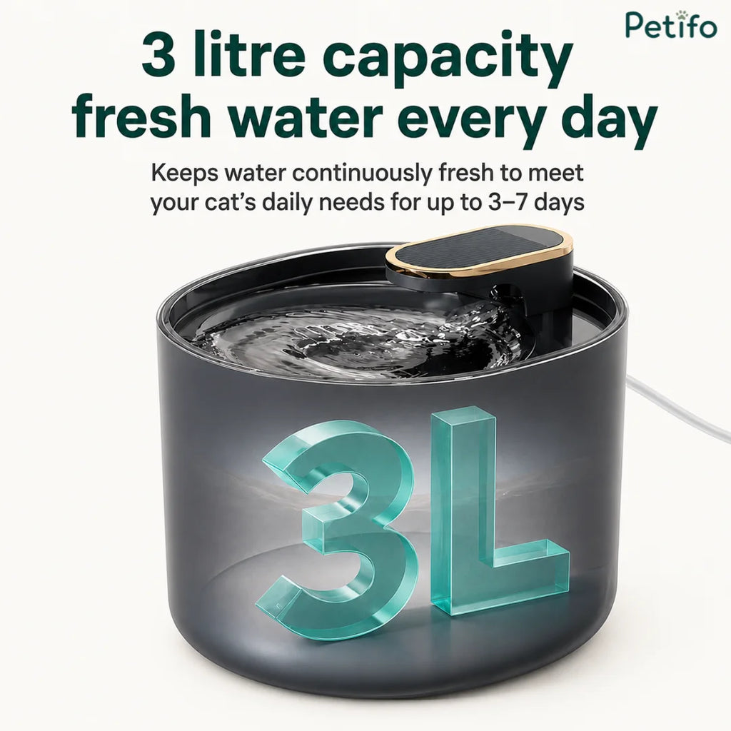 Petifo 3-liter large capacity dog water fountain providing continuous fresh water supply
