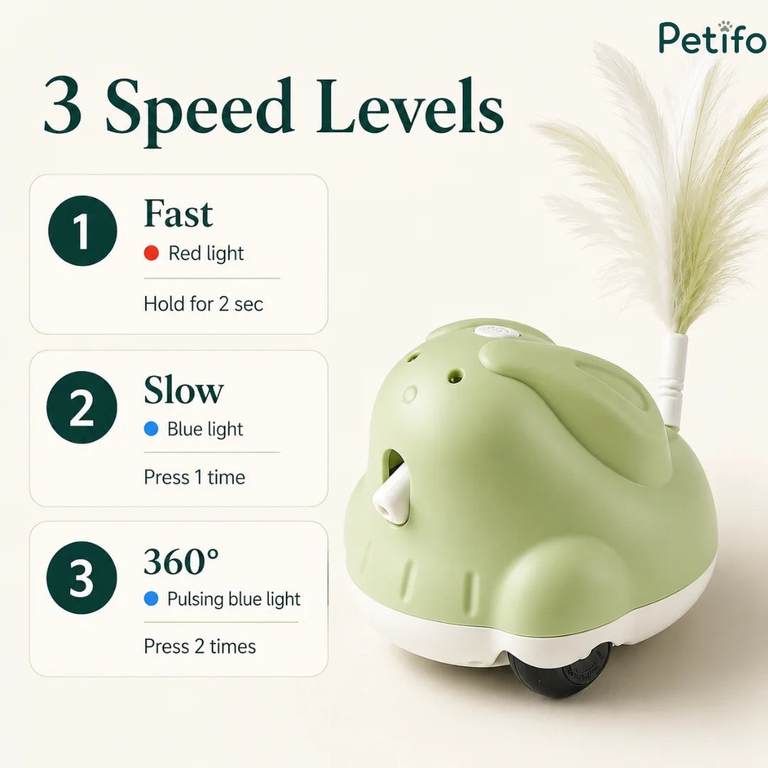 Overview of the 3 speed levels on the Petifo toy: Fast with red light, Slow with blue light, and 360-degree mode with pulsing blue light