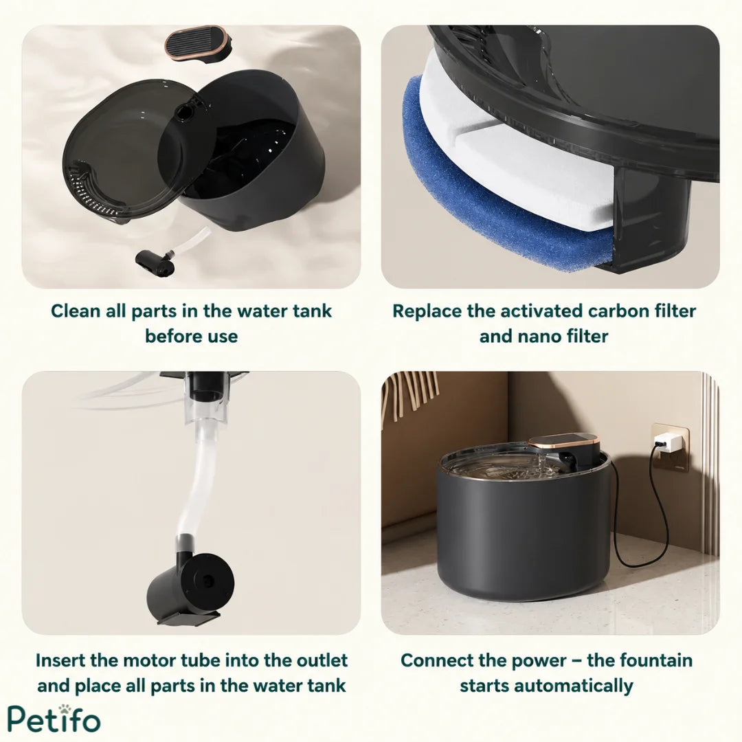 4-step setup guide for assembling, filtering, and plugging in Petifo dog water dispenser