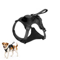 Black dog harness product shot displayed alongside a small Jack Russell Terrier wearing the harness.