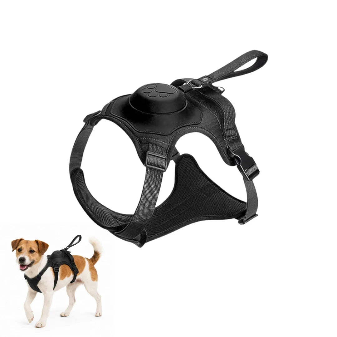 Black dog harness product shot displayed alongside a small Jack Russell Terrier wearing the harness.