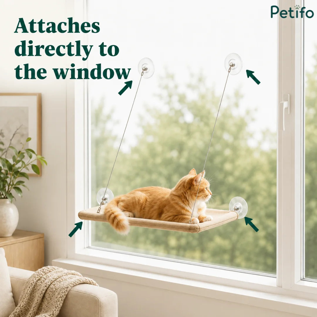 A ginger cat resting on the window hammock, highlighted with directional arrows pointing to its secure window mount points.