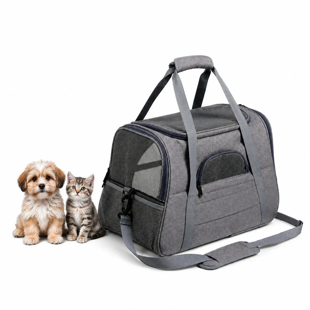 Fluffy puppy and cute kitten sitting next to a grey Petifo pet carrier against a white background.