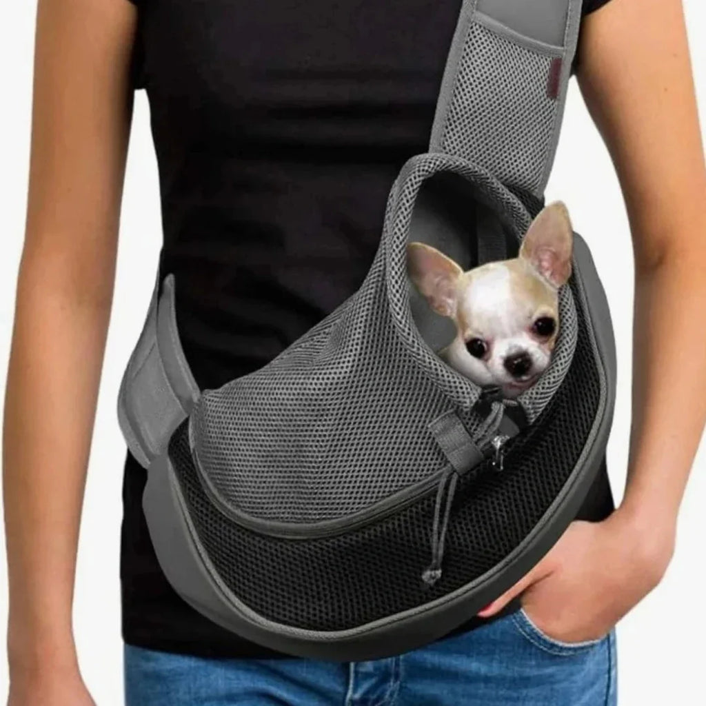 Small Chihuahua puppy safely resting inside a grey mesh hands-free pet sling carrier.
