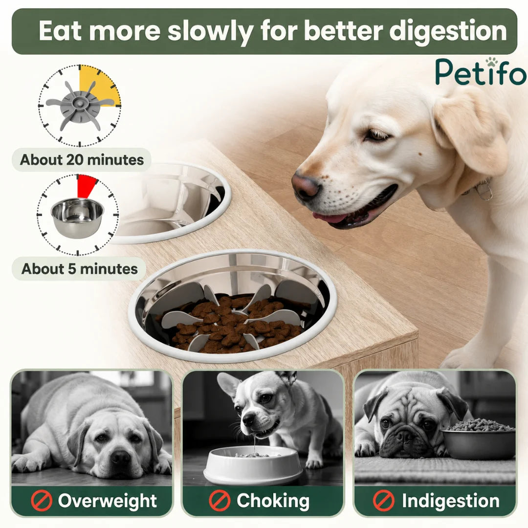 A slow-feeder bowl comparison showing how the Petifo bowl promotes slower eating to help prevent choking, indigestion, and obesity in dogs