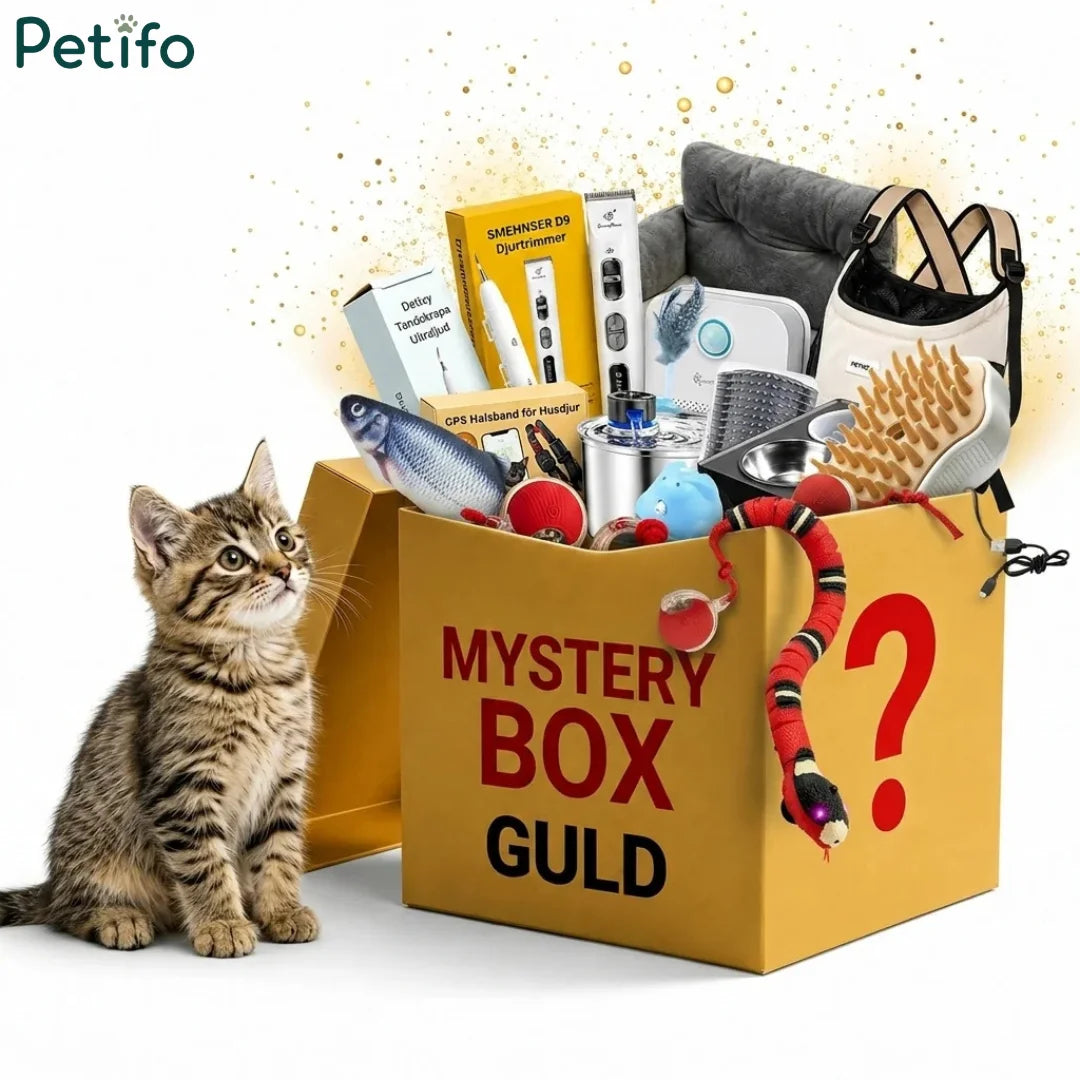 Guld mystery box packed with cat toys and grooming accessories beside a tabby kitten.