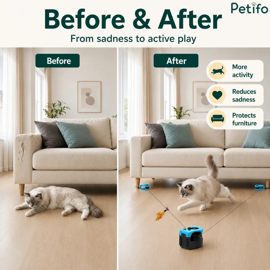 Before and after comparison showing an active cat playing with an interactive toy and preventing sofa scratching.