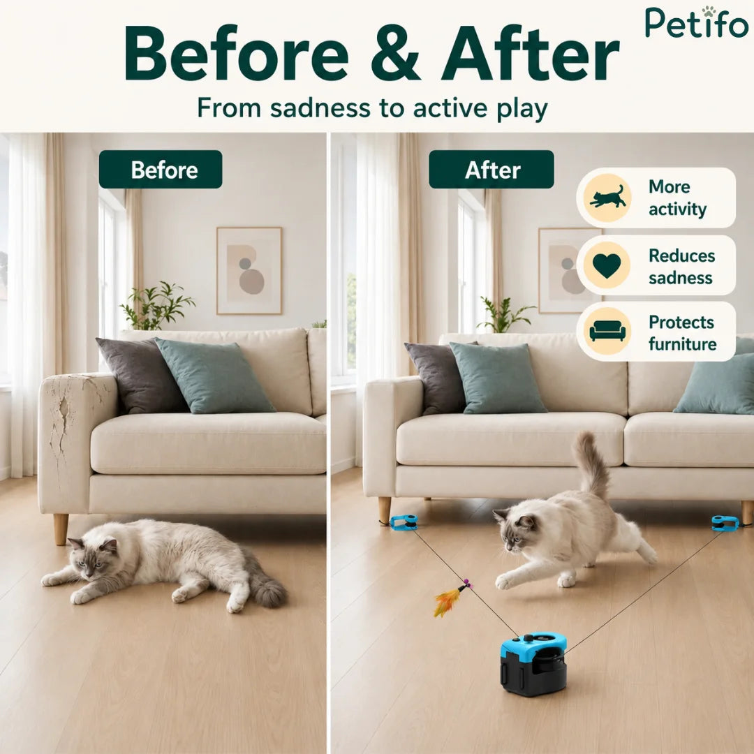 Before and after comparison showing an active cat playing with an interactive toy and preventing sofa scratching.