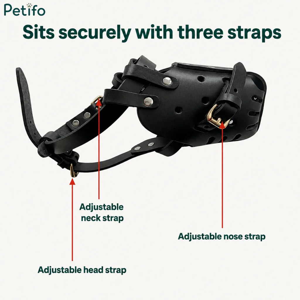 Close-up of the black leather dog muzzle showcasing the adjustable nose, head, and neck straps.