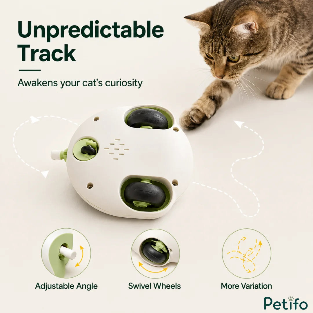 Cat interacting with the Petifo interactive toy featuring an unpredictable track, adjustable angle, swivel wheels, and varied motion