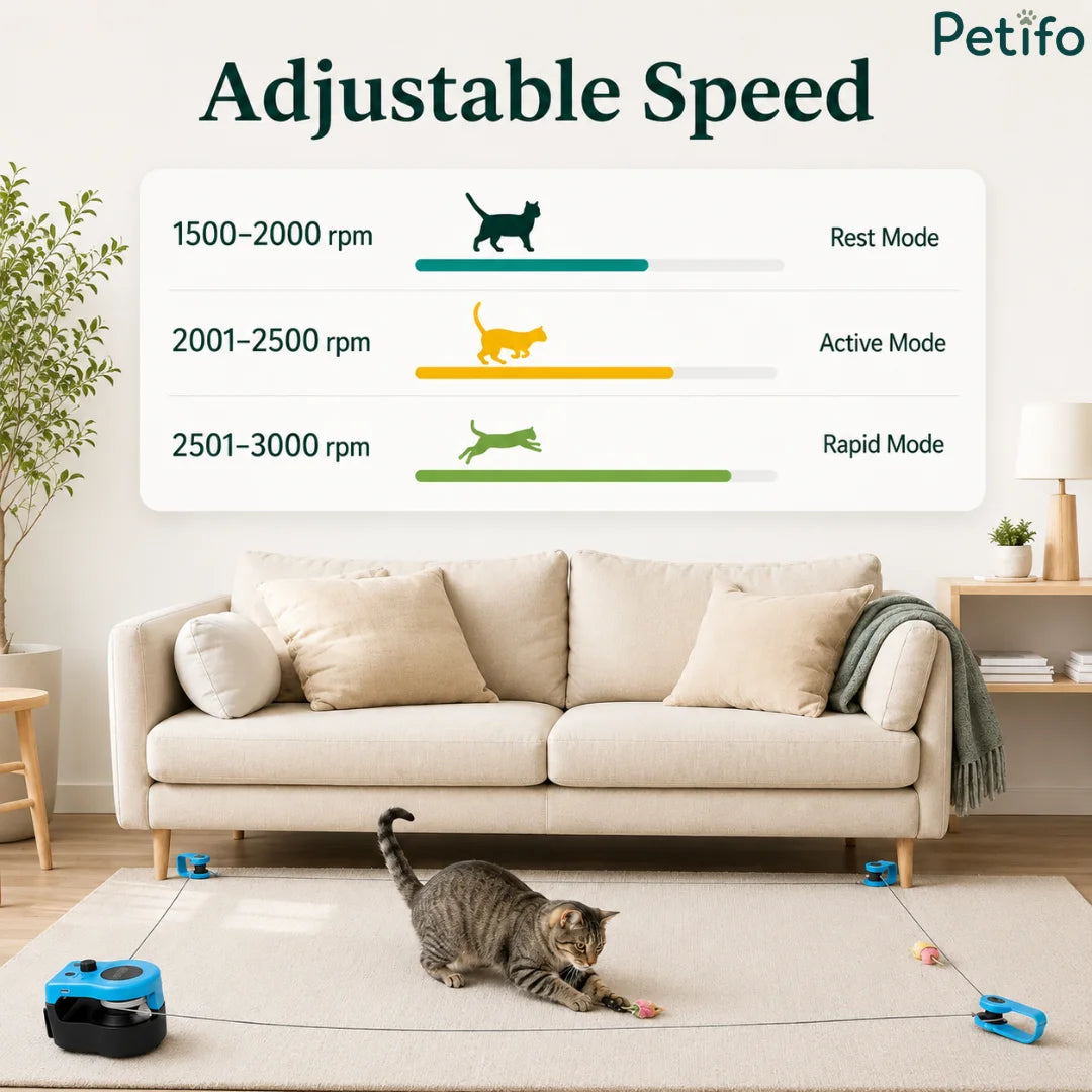 Adjustable speed settings infographic displaying rest, active, and rapid RPM modes for the interactive cat toy.