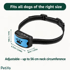 Sizing infographic detailing the physical dimensions and adjustable neck circumference of the training collar.