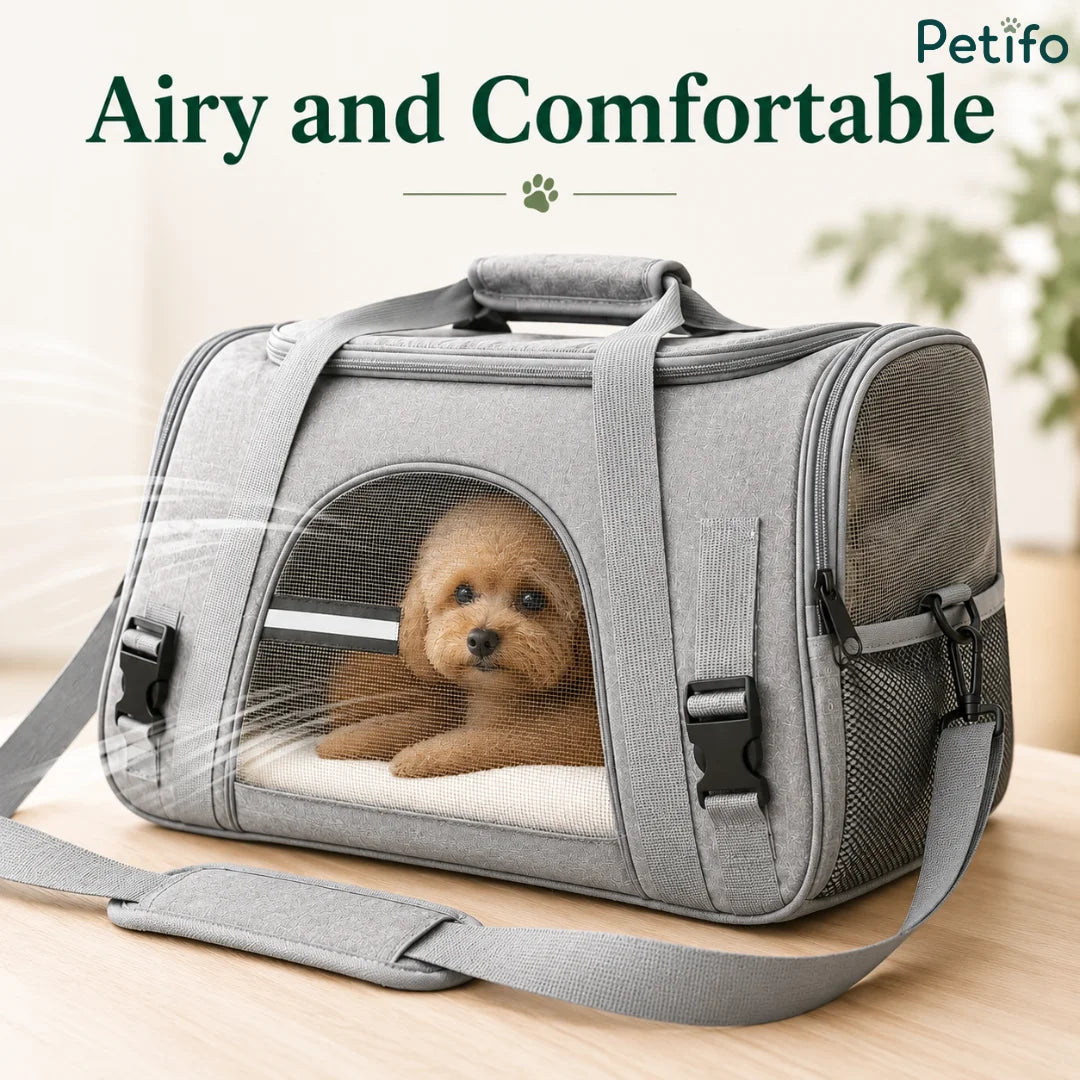 Poodle puppy inside a breathable Petifo grey pet carrier featuring airy side mesh panels.