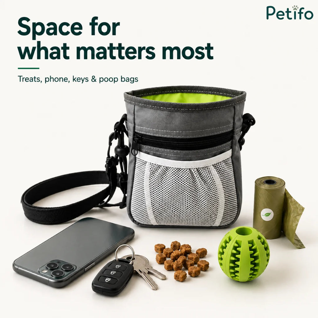 A flat lay arrangement showing ample space inside a treat pouch for essentials like treats, a phone, keys, and waste bags.