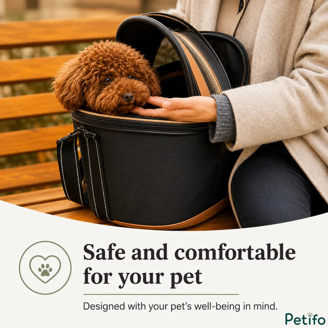 Close-up of a person gently petting an adorable brown poodle resting inside a secure black bicycle pet carrier basket.