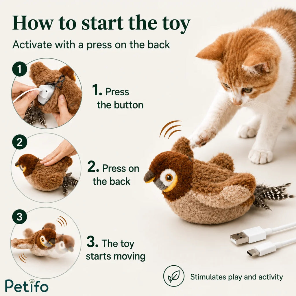 An instructional graphic titled "How to start the toy" showing step-by-step activation of the Petifo bird toy via a button on its back, paired with an orange-and-white cat interacting with it.