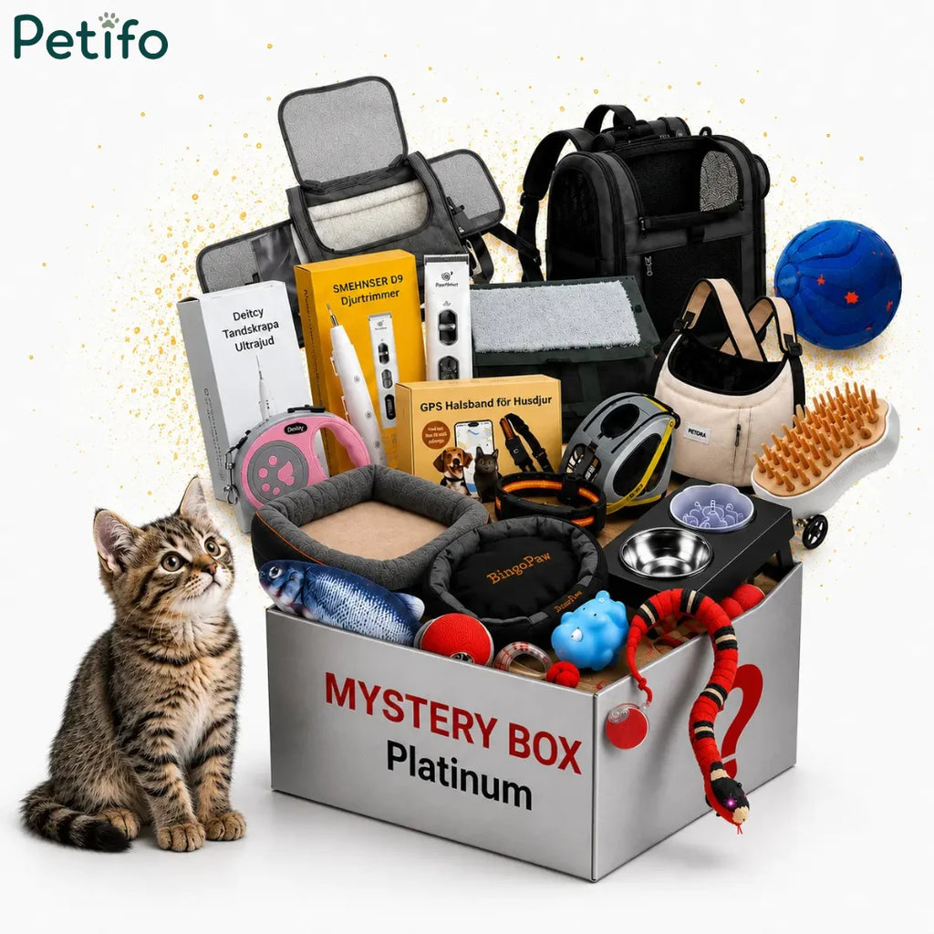 Platinum mystery box featuring assorted pet accessories and a playful tabby kitten.