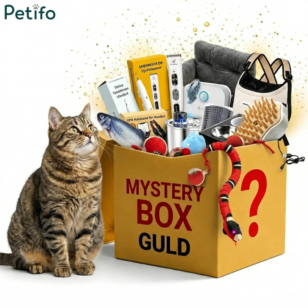 Petifo Guld mystery box assortment of cat toys and pet gear with a curious tabby cat.