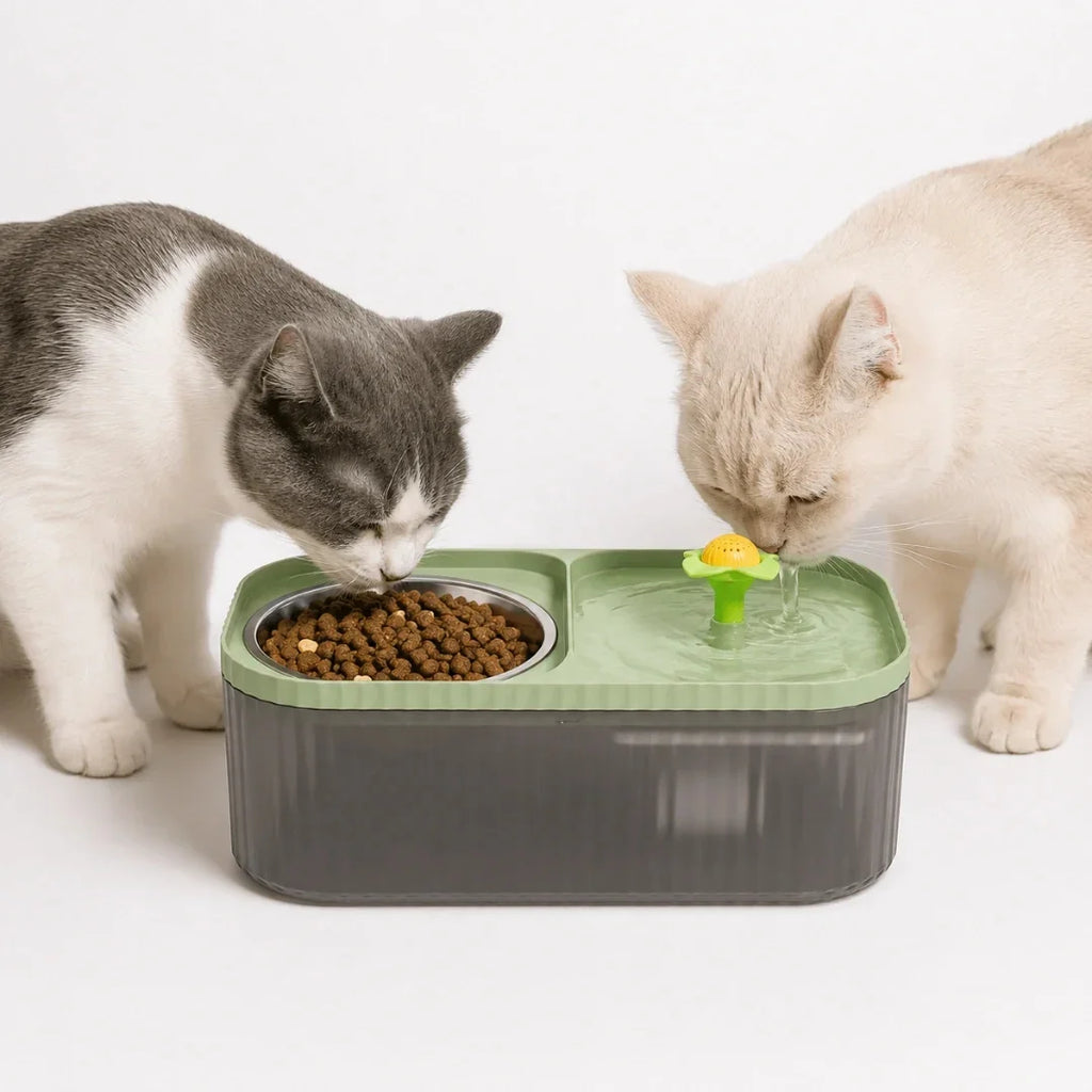 Two cats sharing a green automated water fountain and stainless steel food bowl combo.