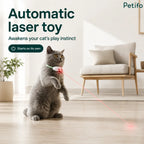 Grey cat standing on its hind legs in a living room, playing with the Petifo automatic laser toy collar that starts on its own.