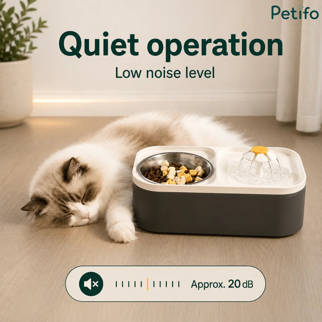 A cute cat sleeping next to a whisper-quiet automatic pet water fountain operating at approximately 20 decibels.