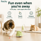 Petifo autonomous cat toy featuring a 4-minute play cycle, touch-to-restart sensor, and 6-hour automatic shutoff feature