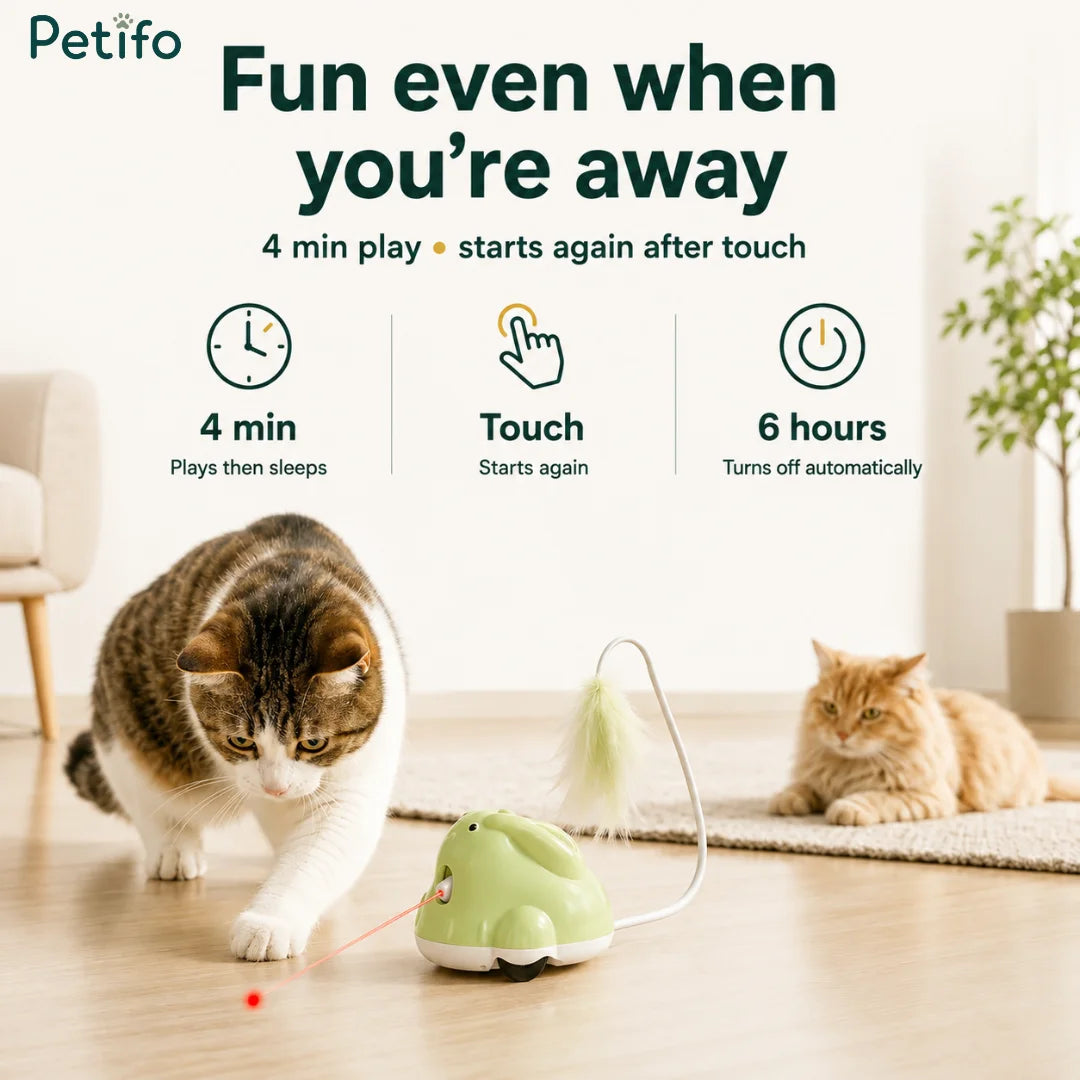 Petifo autonomous cat toy featuring a 4-minute play cycle, touch-to-restart sensor, and 6-hour automatic shutoff feature