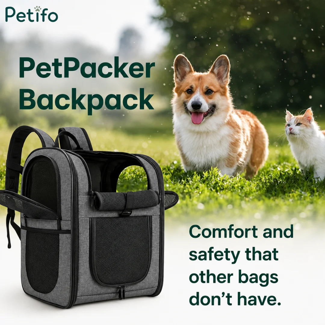 Gray pet travel backpack displayed outdoors in a grassy park next to a corgi and cat.