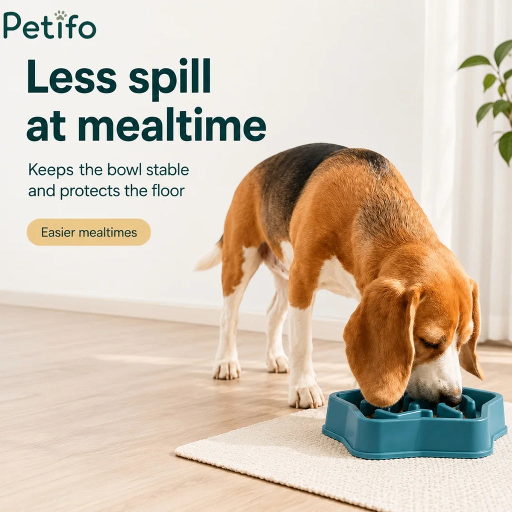 Beagle eating dry dog food from teal Petifo slow feeder bowl on mat