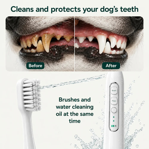 Before and after comparison of dog teeth cleaning with a 2-in-1 automatic pet toothbrush and water flosser.