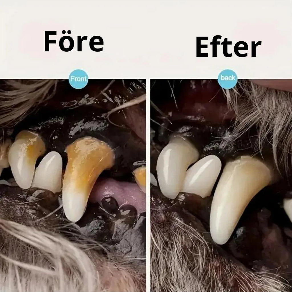 Before and after comparison showing heavy tartar on a dog's teeth transformed into clean white teeth using the Petifo dental tool.