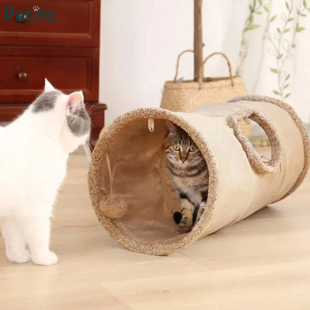Curious tabby cat peeking out from a beige plush cat tunnel while another cat looks on.
