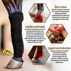 Leg Boots for Horse Joint swelling - Petifo