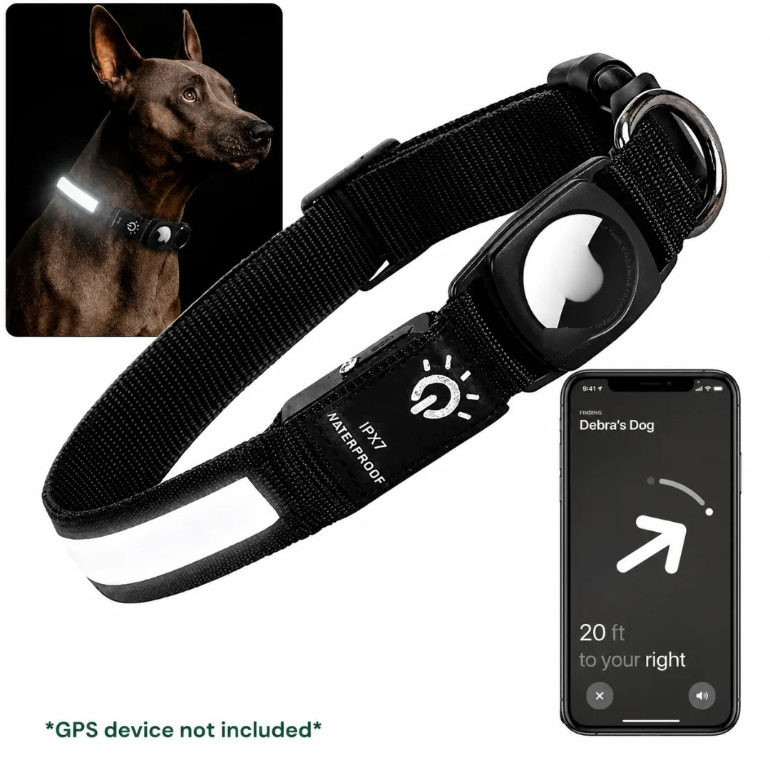 Black illuminated LED dog collar featuring an AirTag mount and smartphone tracking interface display for pet security.