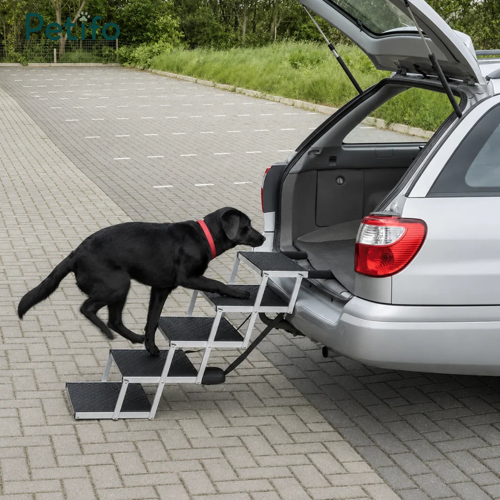 Black Labrador walking up a portable metal folding dog stair ramp attached to a silver SUV trunk.