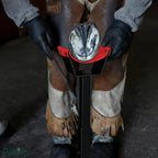 Farrier working on a horse's hoof resting on an adjustable black and orange hoof stand.