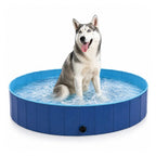 Siberian Husky sitting happily inside a blue Petifo foldable dog swimming pool on a white background.