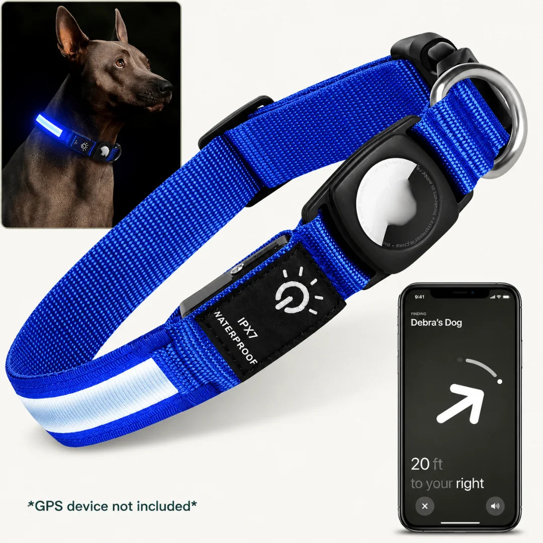 Blue LED dog collar with an AirTag holder alongside a smartphone tracking screen and a dog wearing the blue collar.