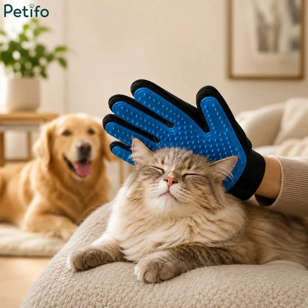 Cozy indoor scene showing a cat being comfortably petted and groomed with a blue Petifo grooming glove.
