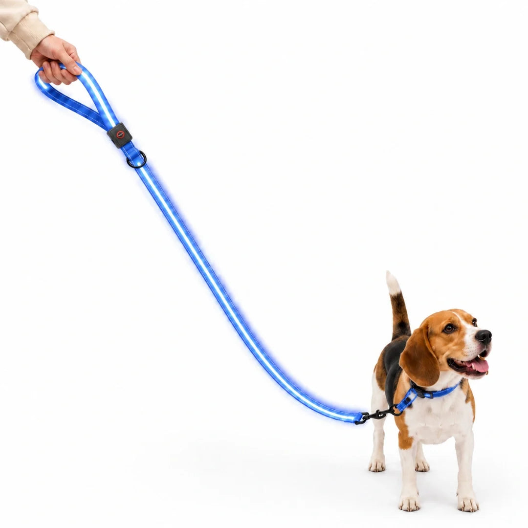 LED Light-Up Lead blue - Petifo