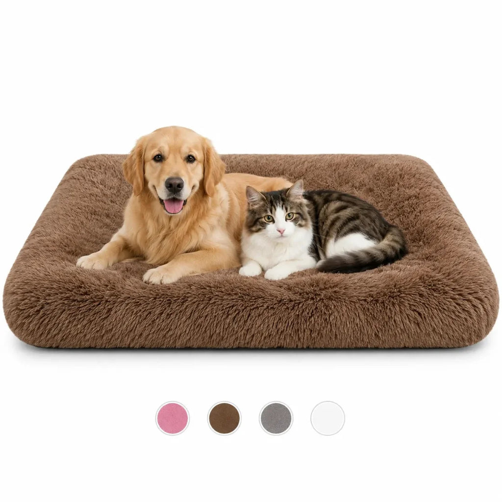 Golden Retriever and a tabby cat resting together on a brown plush rectangular pet bed.