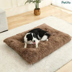 Border collie resting comfortably on a brown fluffy plush pet mat placed on a white rug.