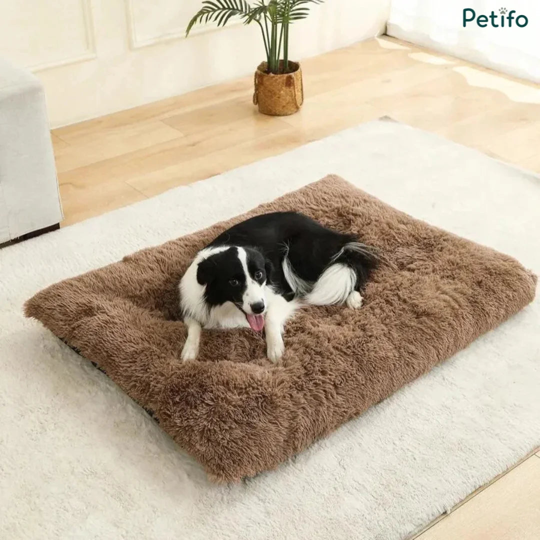 Border collie resting comfortably on a brown fluffy plush pet mat placed on a white rug.