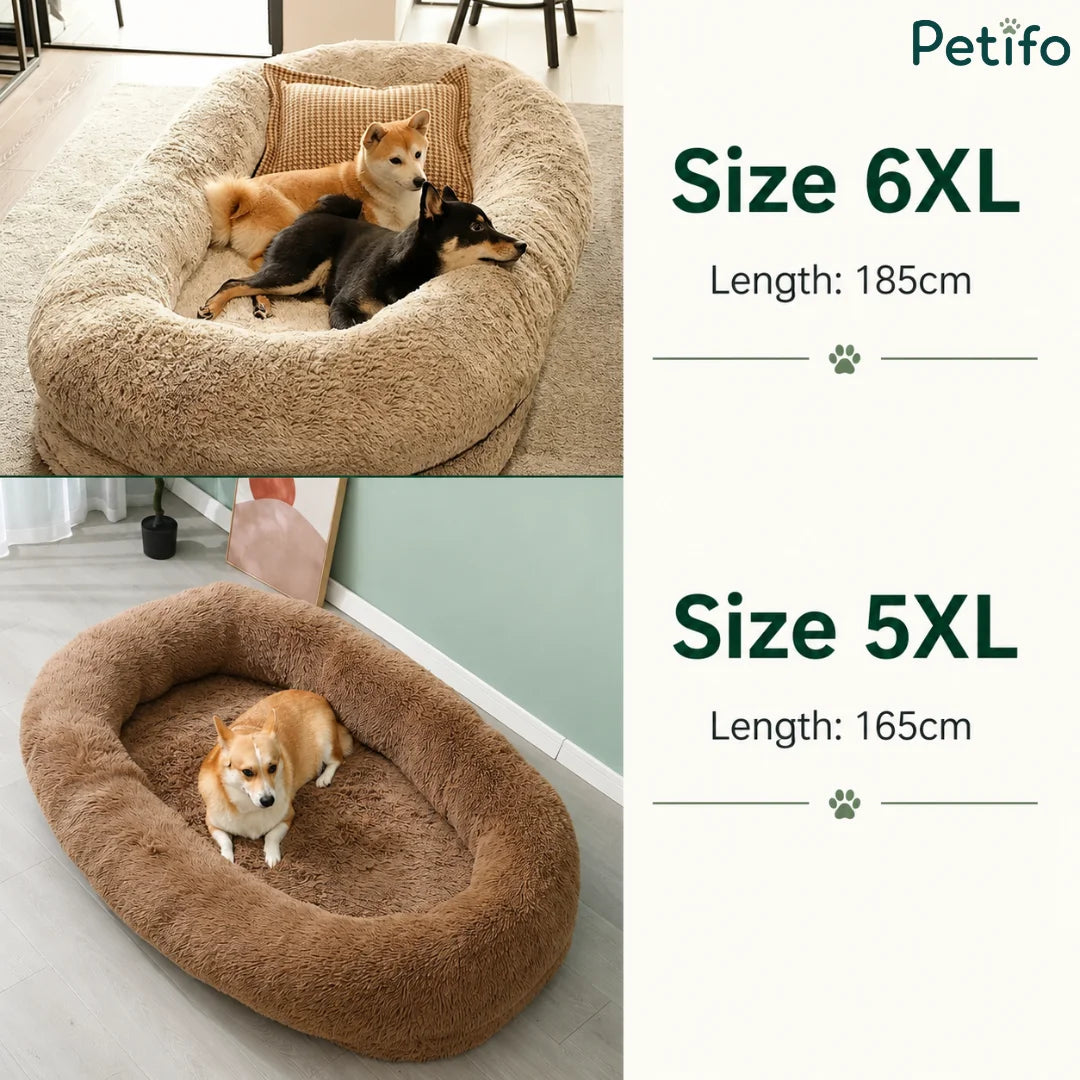 Size comparison guide showing a 6XL brown fluffy bed with two dogs and a 5XL bed with a corgi.