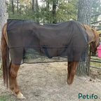 Brown horse wearing a black mesh fly sheet standing outdoors near trees.